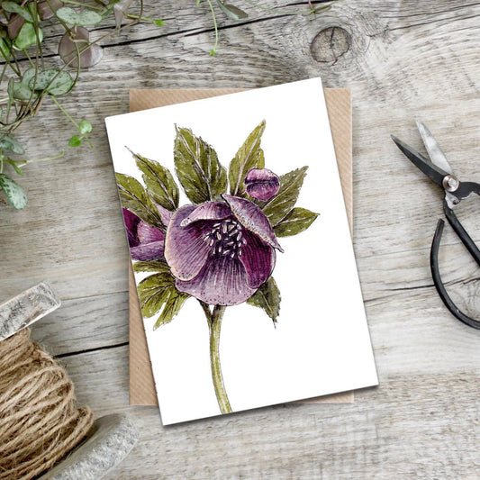 Hellebore Card (Cello-Free)