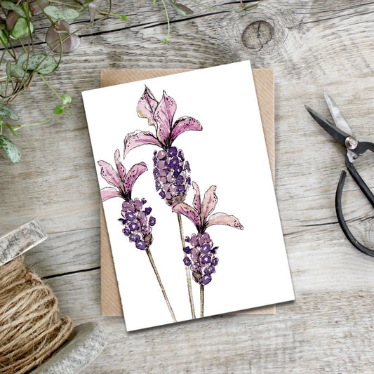 "The Mulberry Collection" Boxed Set of 8 Mixed Notecards