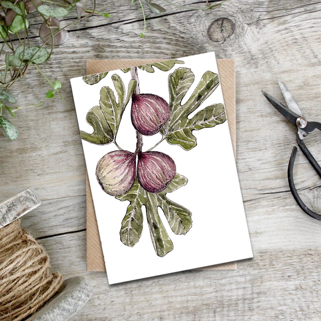 "The Mulberry Collection" Boxed Set of 8 Mixed Notecards