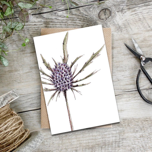 Sea Holly Card (Cello-Free)