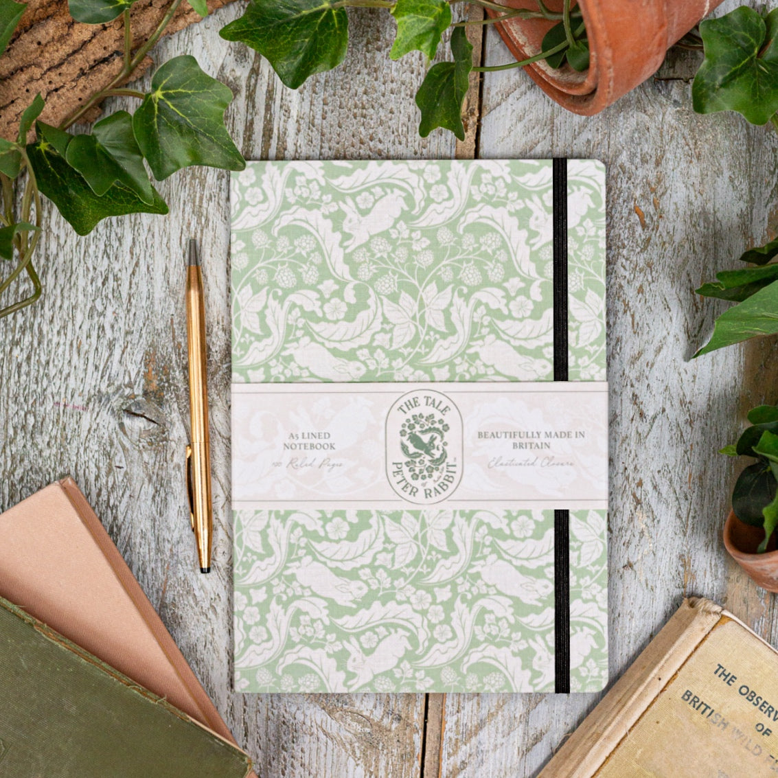 NEW! Peter Rabbit "The Vegetable Thief" (Sage Green) A5 Lined Notebook