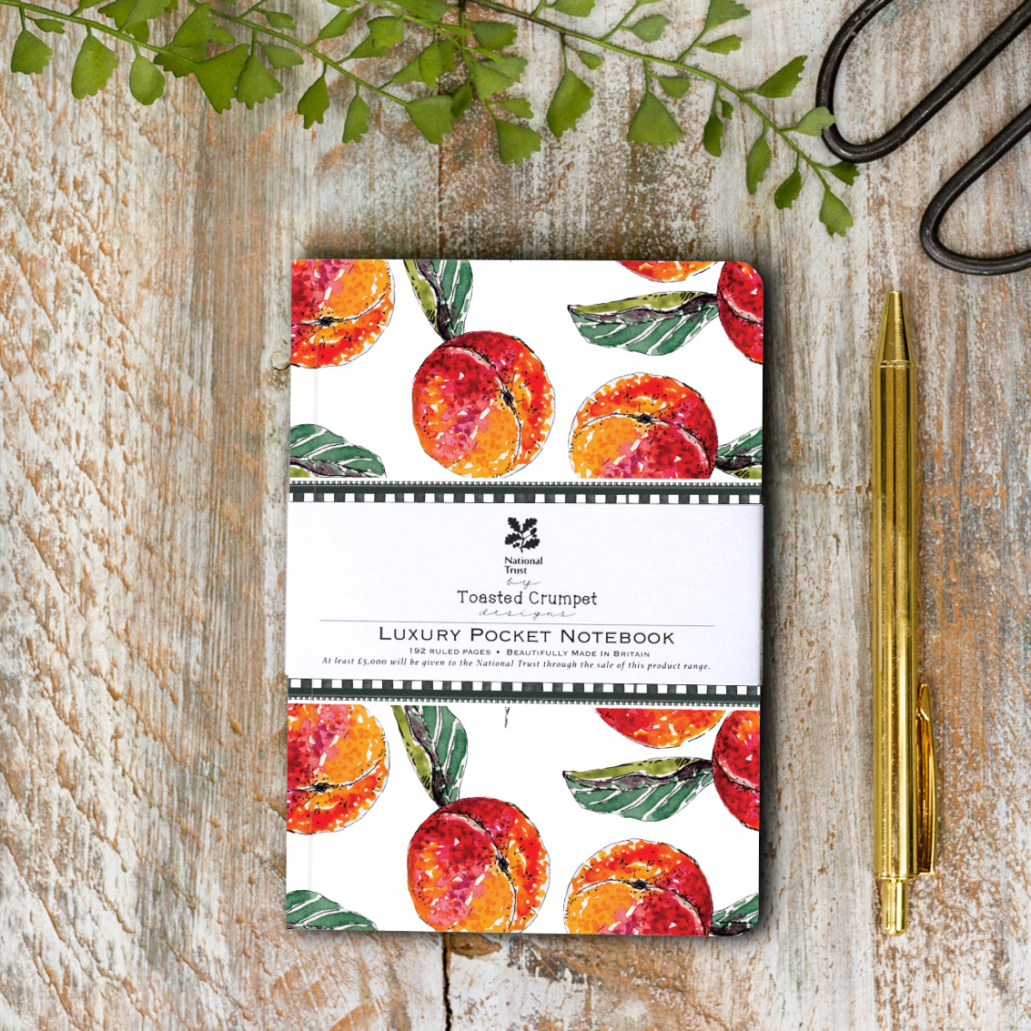 NEW! Peaches (Pure) A6 Pocket Lined Notebook (available for dispatch from Jan 2026)