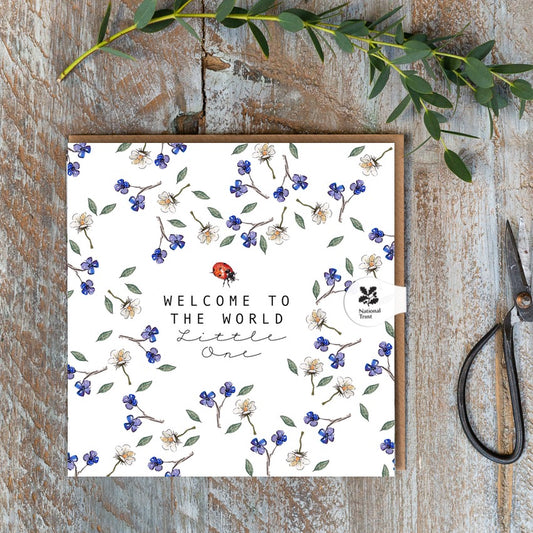 Welcome to the World Little One (Ladybird Pure) Card (Cello-Free)