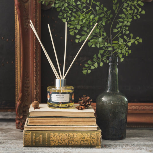 Winter Noir Diffuser
