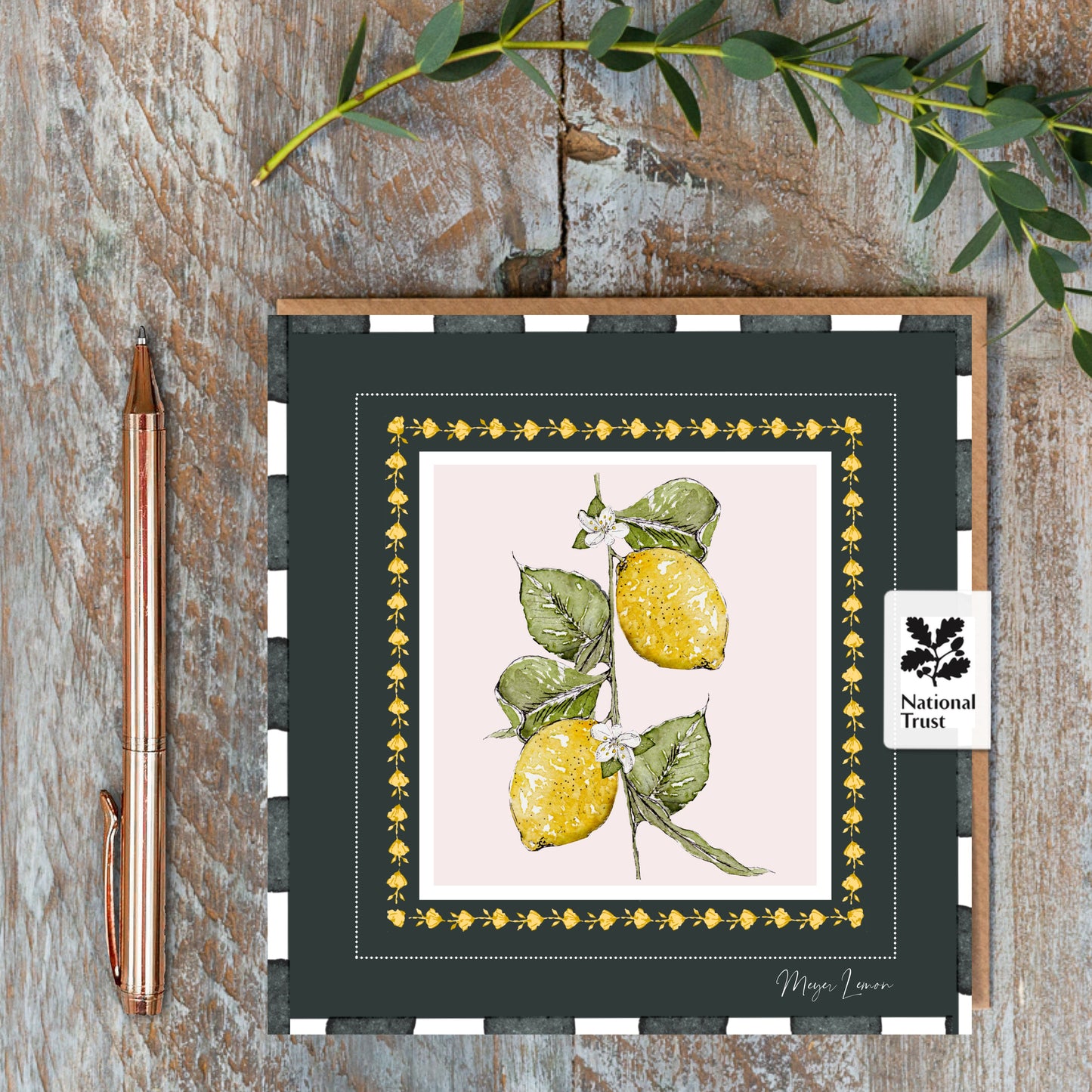 NEW! Meyer Lemon (Noir) Card (Cello-Free)