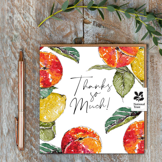 NEW! Thanks so Much (Peach & Lemon Pure) Card (Cello-Free)