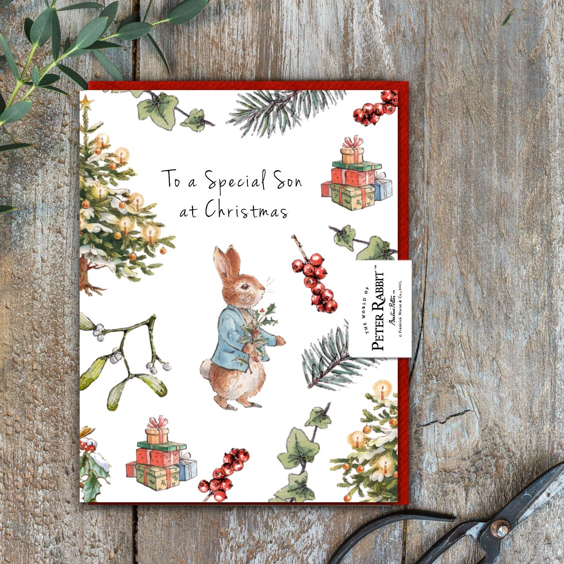 To a Special Son at Christmas Card (Cello-Free) (available for dispatch from August 2025)