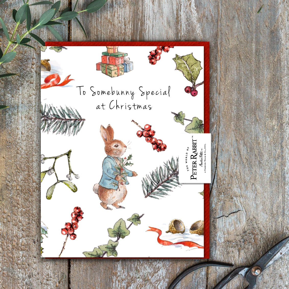 To Somebunny Special at Christmas Card (Cello-Free) (available for dispatch from August 2025)