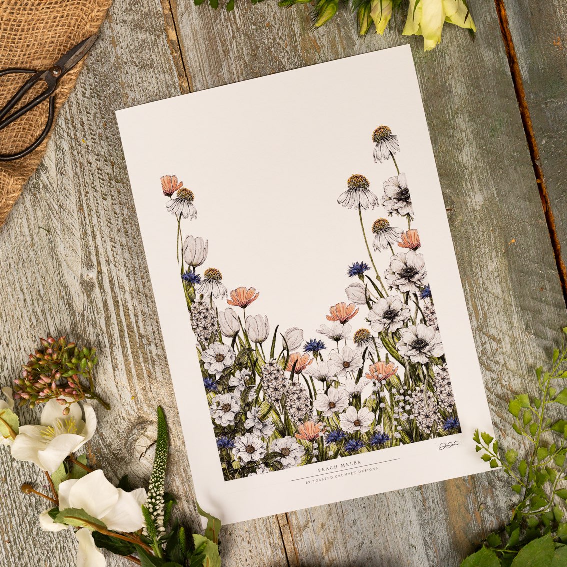 Peach Melba 12x16" Fine Art Print