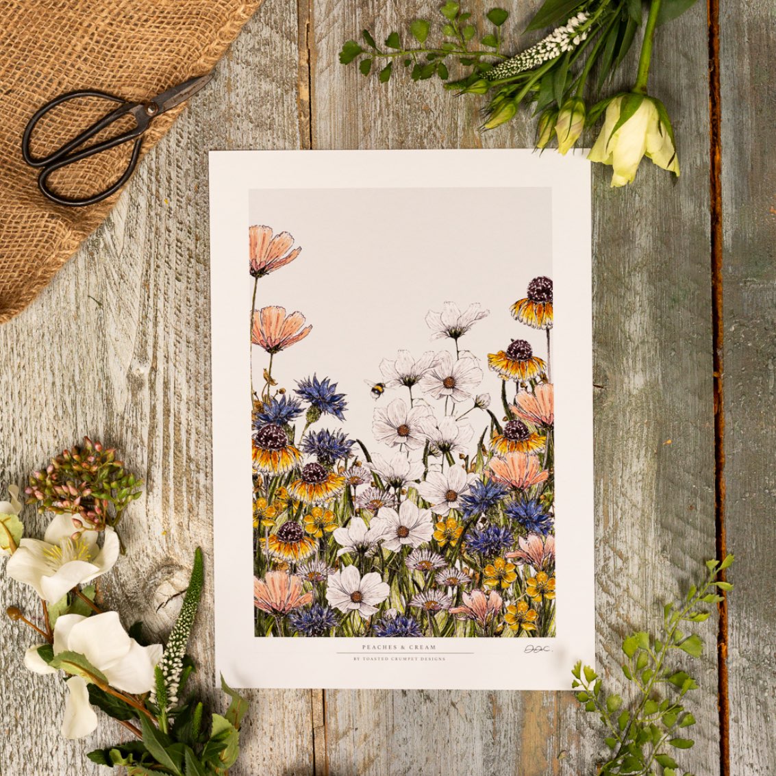 Peaches & Cream 12x16" Fine Art Print