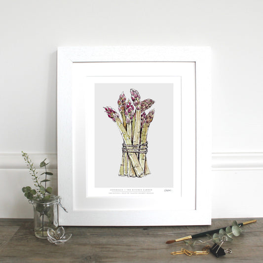 The Kitchen Garden Asparagus 10x12" Fine Art Print