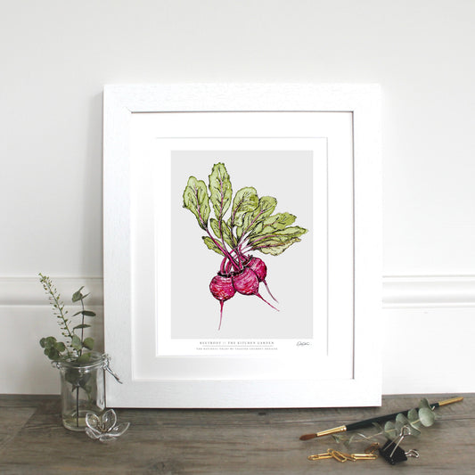 The Kitchen Garden Beetroot 10x12" Fine Art Print