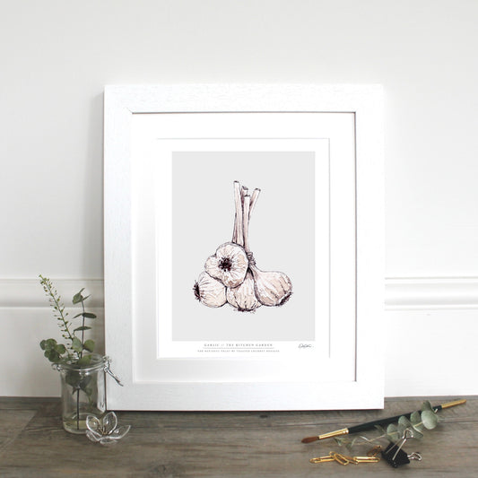 The Kitchen Garden Garlic 10x12" Fine Art Print