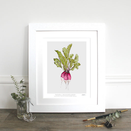 The Kitchen Garden Radishes 10x12" Fine Art Print