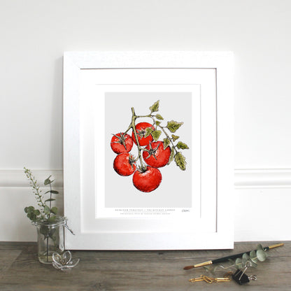 The Kitchen Garden Heirloom Tomatoes 10x12" Fine Art Print