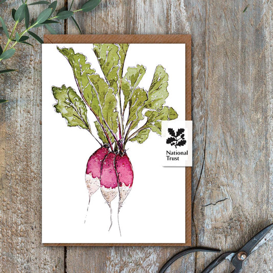 "The Kitchen Garden" Boxed Set of 8 Mixed Notecards