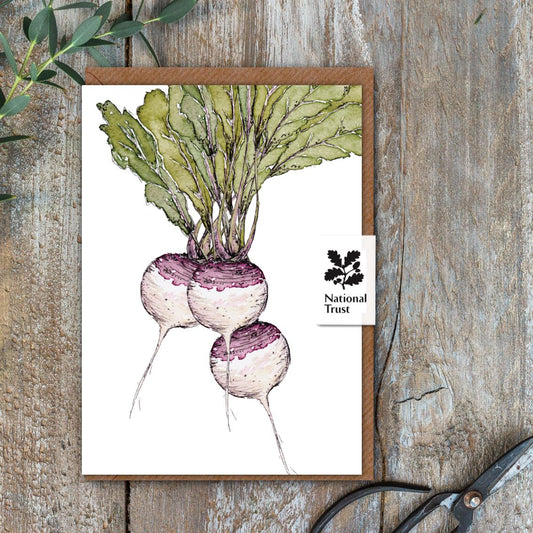 The Kitchen Garden Turnips Card (Cello-Free)