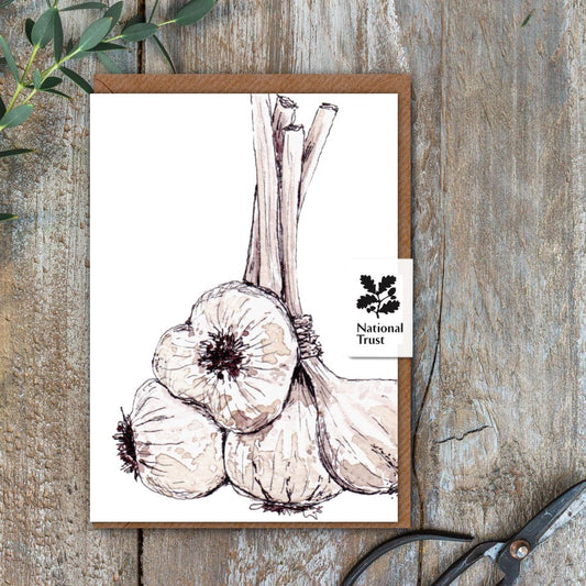 The Kitchen Garden Garlic Card (Cello-Free)