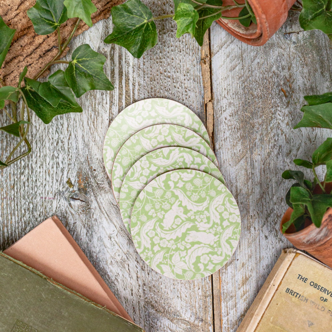 NEW! Peter Rabbit "The Vegetable Thief" (Sage Green) Round Coaster