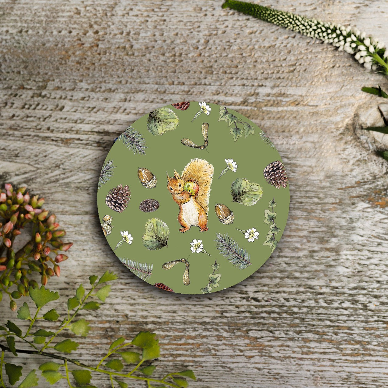 NEW! Squirrel Nutkin "Fresh Woodland Trails" Round Coaster (available for dispatch from August 2026)