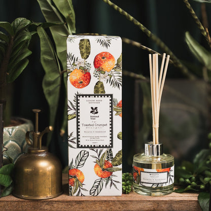 NEW! Nectarine & Sandalwood Diffuser
