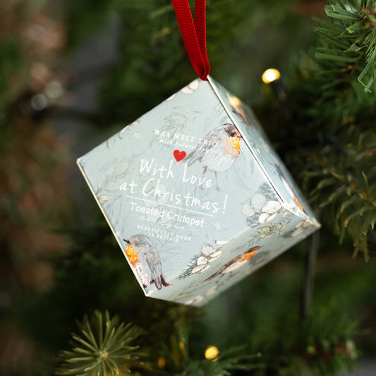 Robin & Eucalyptus Christmas Soy Wax Melt Hanging Decoration