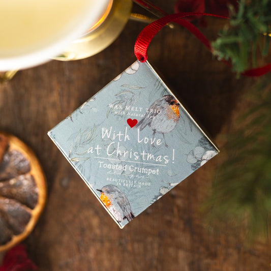 Robin & Eucalyptus Christmas Soy Wax Melt Hanging Decoration