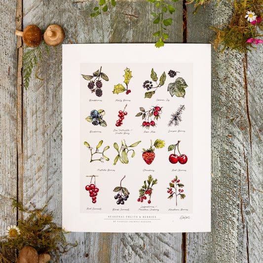 Seasonal Fruits & Berries 10 x 12" Fine Art Print