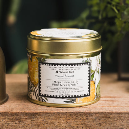 NEW! Meyer Lemon & Pink Grapefruit Candle in a Matt Gold Tin
