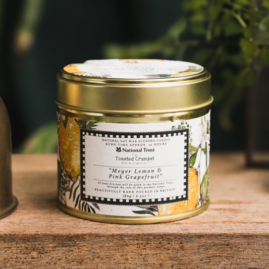 NEW! Meyer Lemon & Pink Grapefruit Candle in a Matt Gold Tin