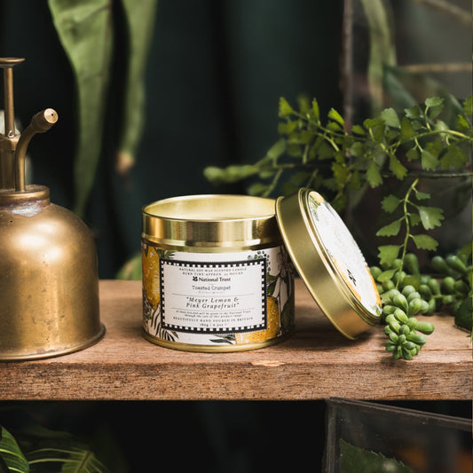 NEW! Meyer Lemon & Pink Grapefruit Candle in a Matt Gold Tin