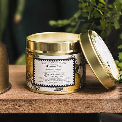 NEW! Meyer Lemon & Pink Grapefruit Candle in a Matt Gold Tin
