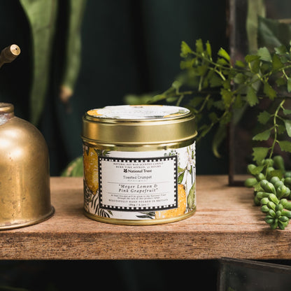 NEW! Meyer Lemon & Pink Grapefruit Candle in a Matt Gold Tin