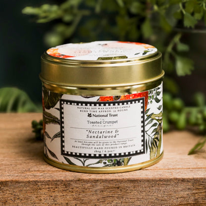 NEW! Nectarine & Sandalwood Candle in a Matt Gold Tin
