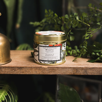 NEW! Nectarine & Sandalwood Candle in a Matt Gold Tin