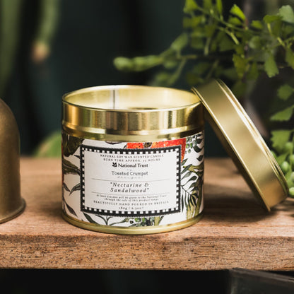 NEW! Nectarine & Sandalwood Candle in a Matt Gold Tin