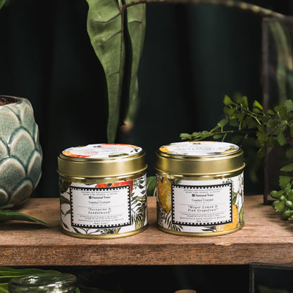 NEW! Nectarine & Sandalwood Candle in a Matt Gold Tin