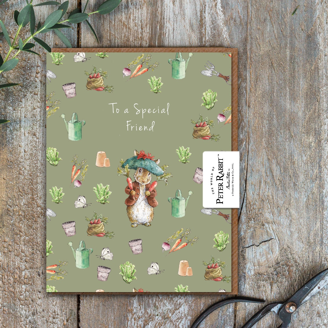 To a Special Friend (Benjamin Bunny) Card (Cello-Free)