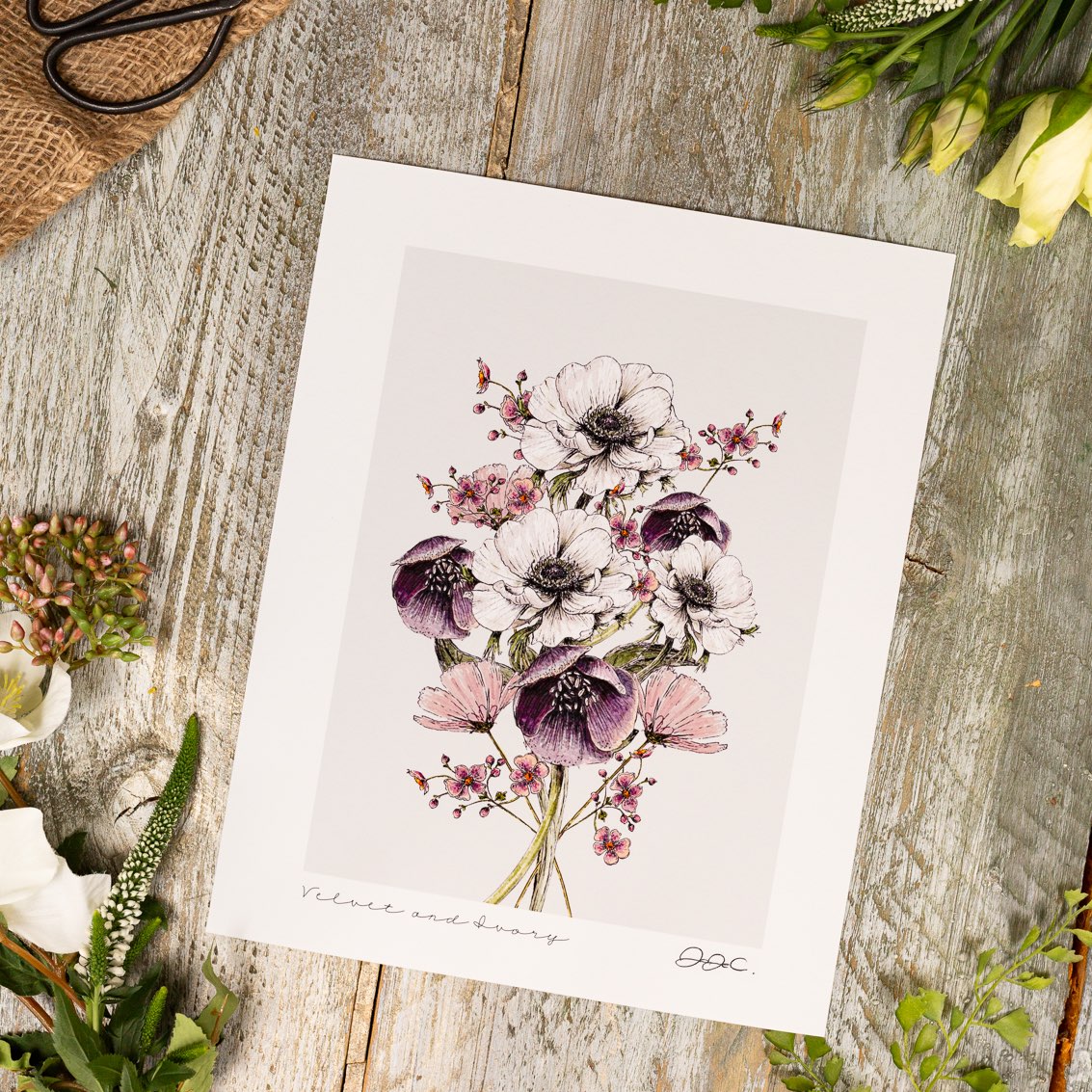 Velvet & Ivory 10x12" Fine Art Print