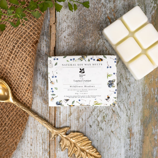 Wildflower Meadows  Soy Wax Melts