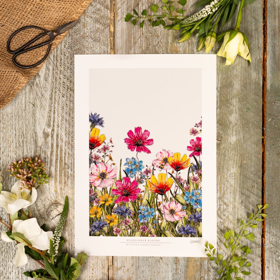 Wildflower Blooms 12x16" Fine Art Print