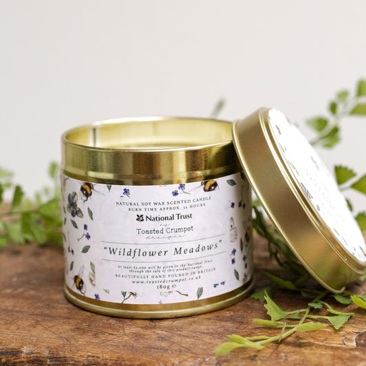 Wildflower Meadows Candle in a Matt Gold Tin