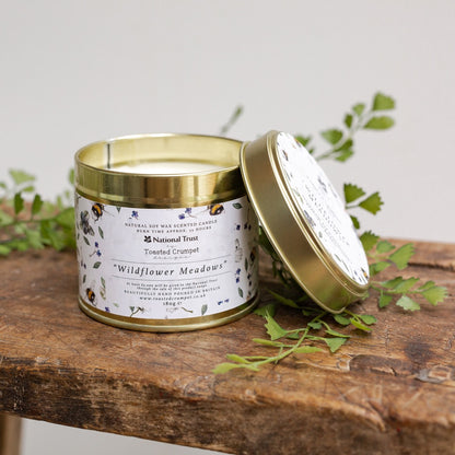 Wildflower Meadows Candle in a Matt Gold Tin