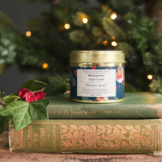 Winter Noir Candle in a Matt Gold Tin