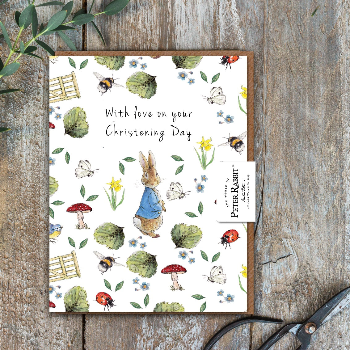 With Love on Your Christening Day (Peter Rabbit) Card (Cello-Free)