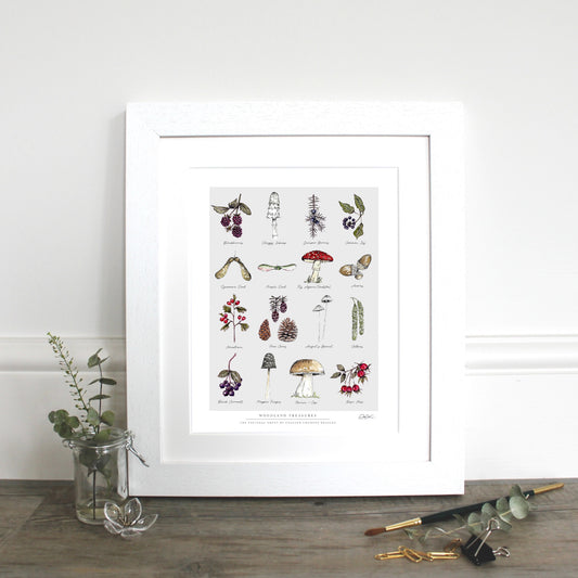 Woodland Treasures 10 x 12" Fine Art Print