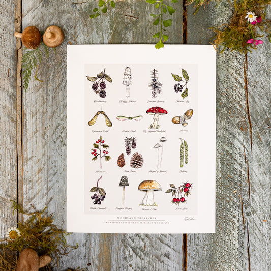 Woodland Treasures 10 x 12" Fine Art Print