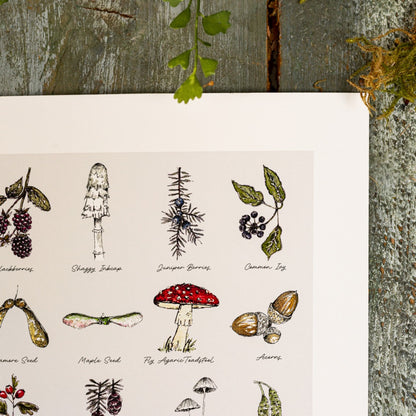 Woodland Treasures 10 x 12" Fine Art Print